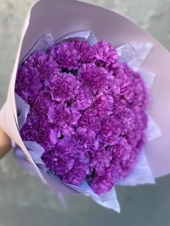 Букет фиолетовых гвоздик