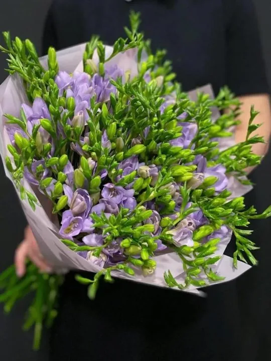 Букет Фиолетовая фрезия