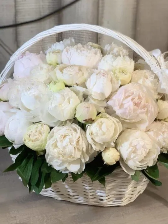 Композиция Лея