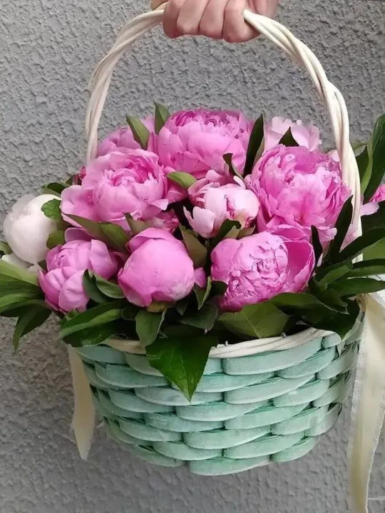 Композиция Фьюжн