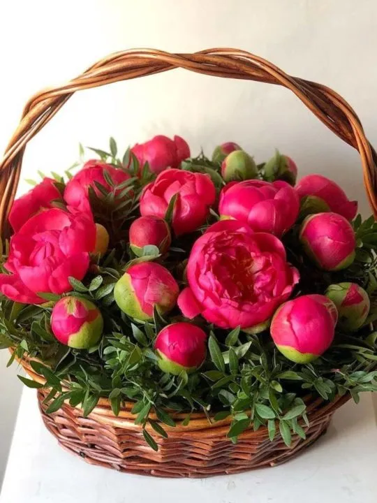 Композиция Карнавал