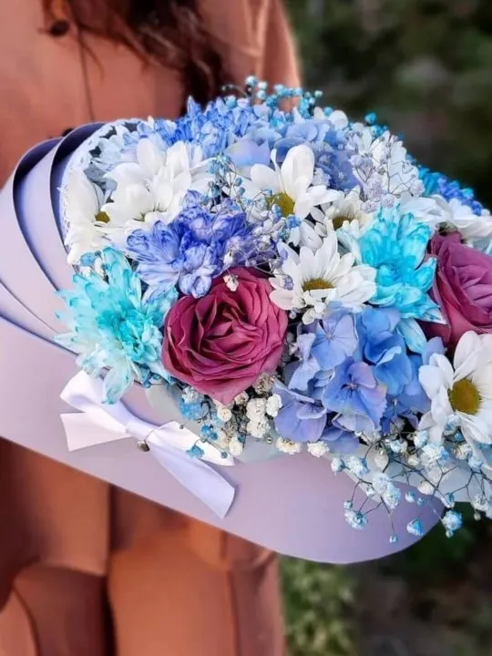 Композиция Геркулес