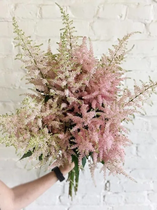 Букет Джуди