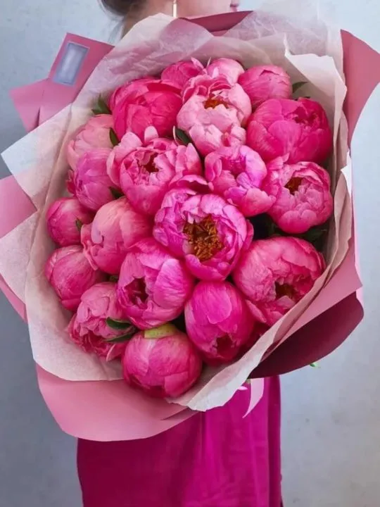 Букет Сан-Паулу