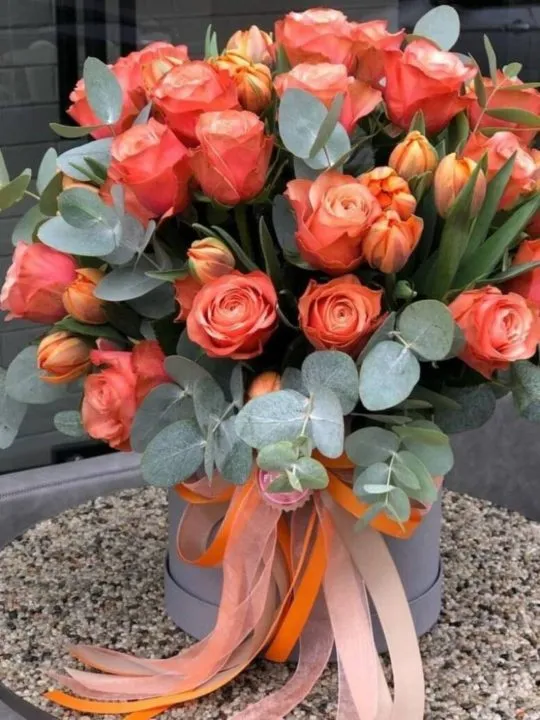 Композиция Аделаида