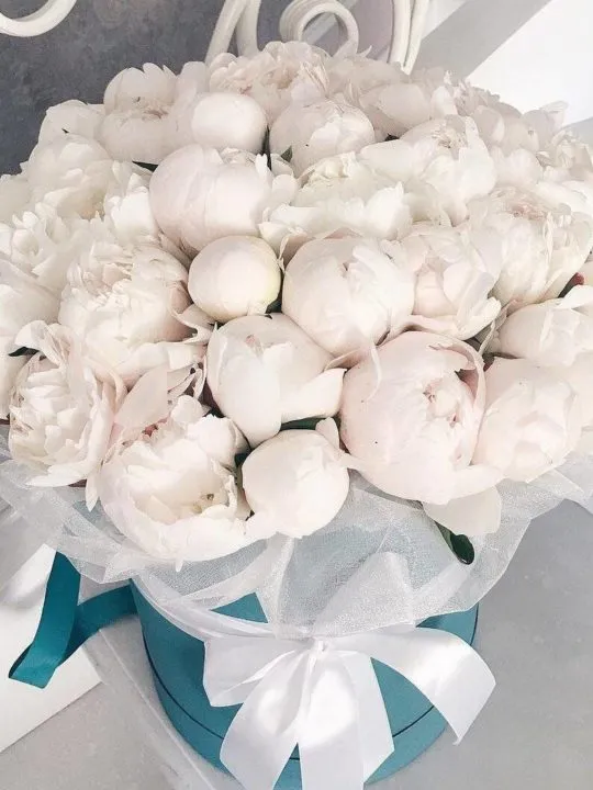 Композиция Ялта