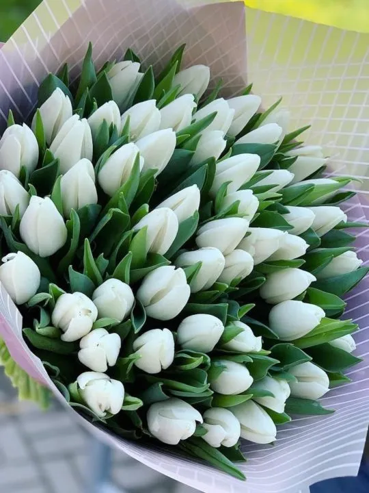 Букет Севилья