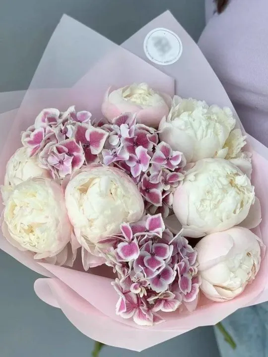 Букет Нирвана