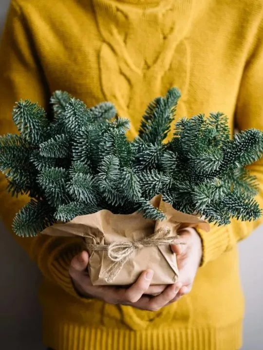 Букет Полярный экспресс