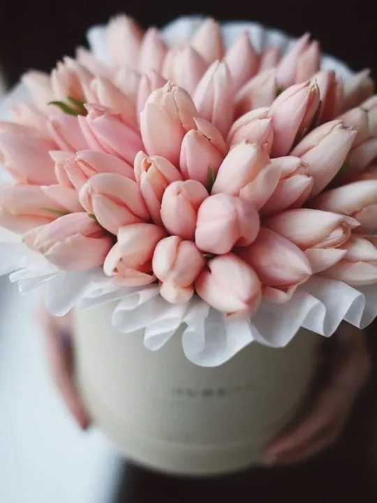 Композиция Ницца