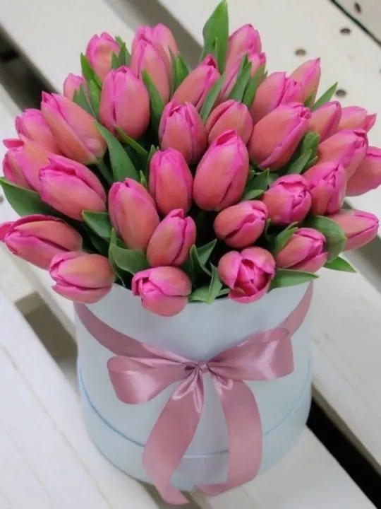 Композиция Шоле