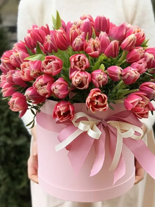 Композиция Ла-Рошель