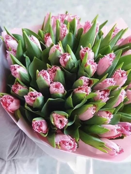 Букет из махровых тюльпанов