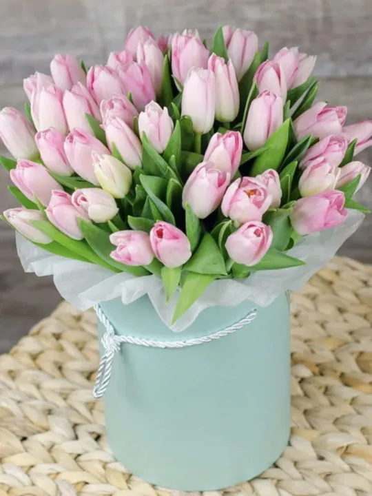 Композиция Лион