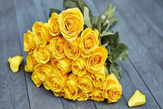 Жёлтые розы — к расставанию: все приметы и суеверия о солнечных цветах