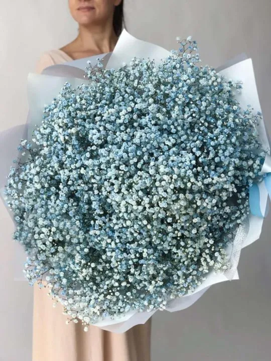 Облако голубой гипсофилы