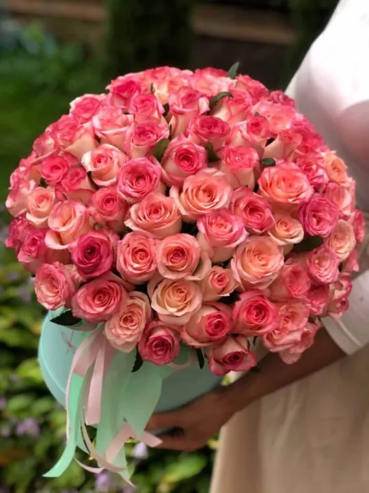 75 розовых роз в коробке