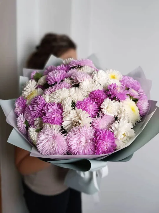 Букет из астр Женевьева