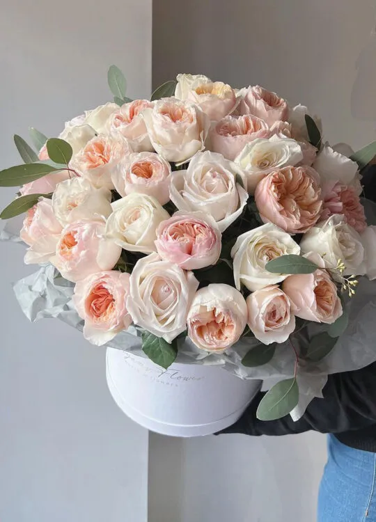 31 кремовая роза в коробке