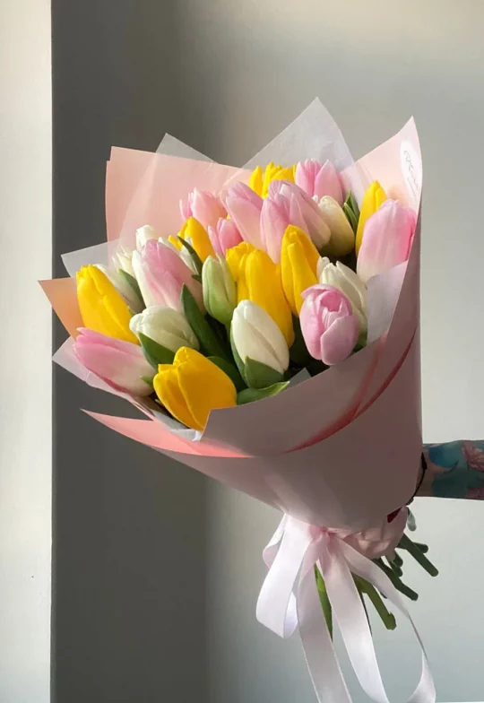 25 тюльпанов микс