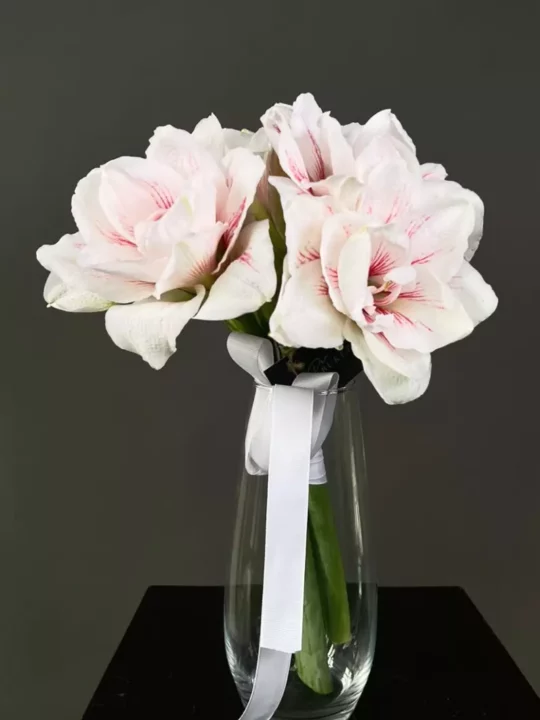 3 амариллиса в вазе