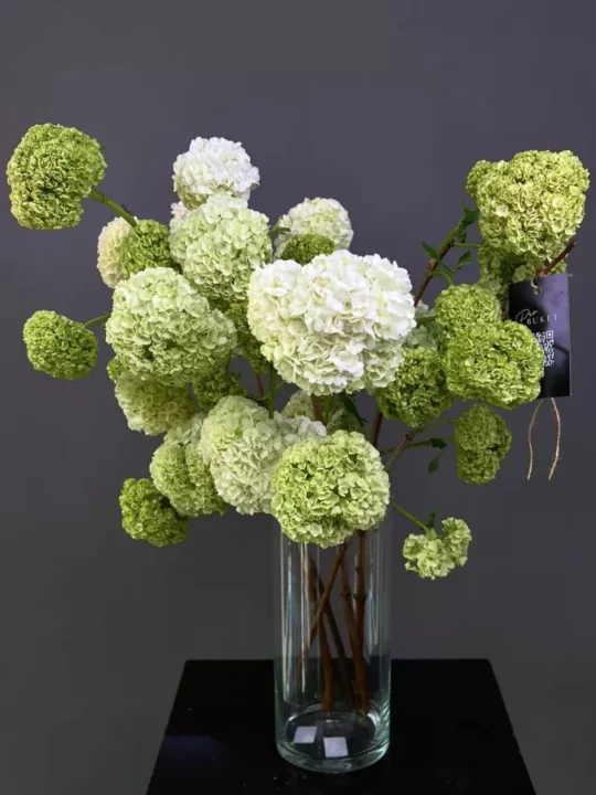 Вибурнум в вазе