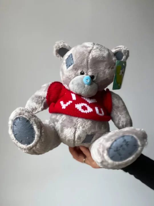 Тедди аю ойыншығы