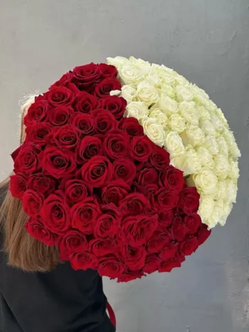 Букет красно-белых роз