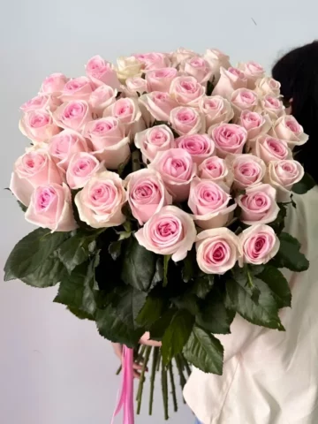 Голландские розы 50 см