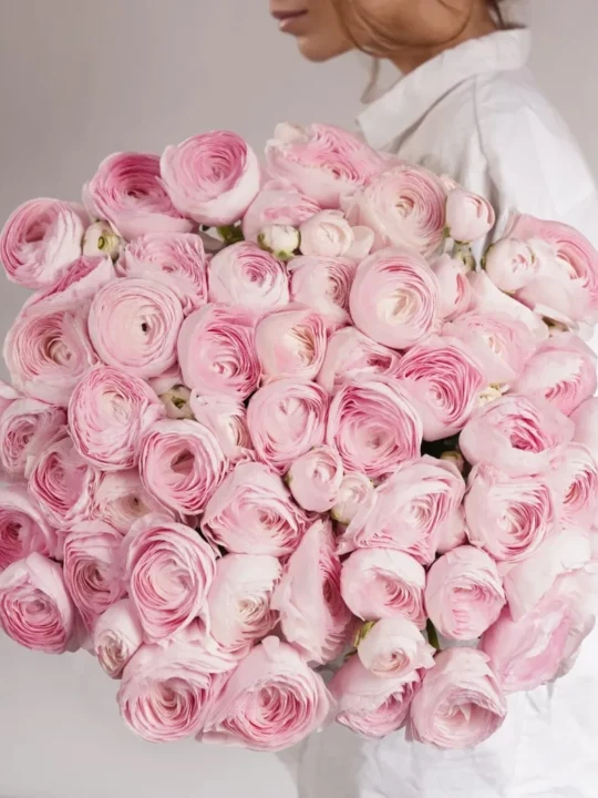 Букет из 51 ранункулюса Pink