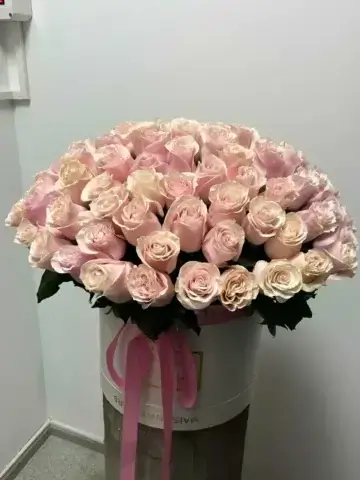 101 розовая роза в коробке