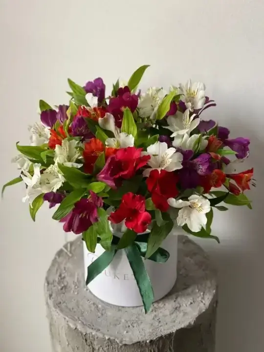 Композиция Yellow in white