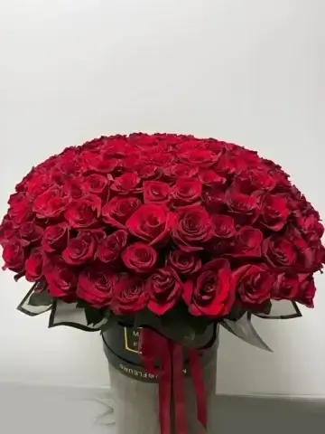 Букет из 151 розы
