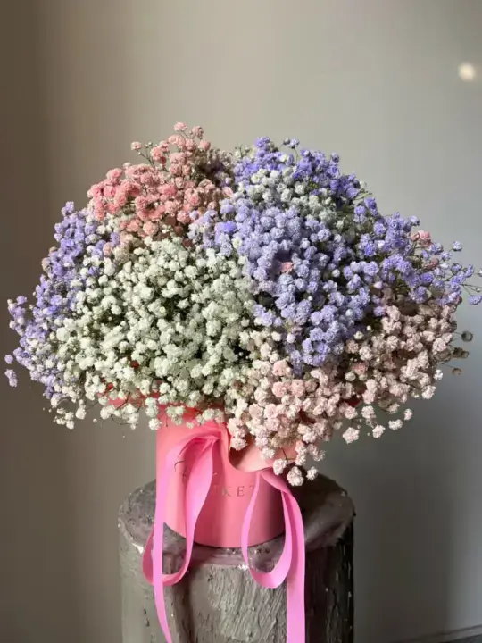 Композиция Гретта