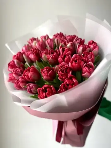 35 красных пионовидных тюльпанов