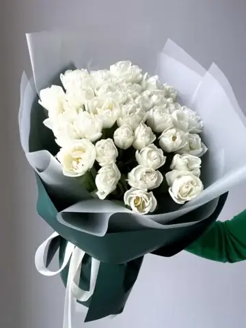 35 белых пионовидных тюльпанов