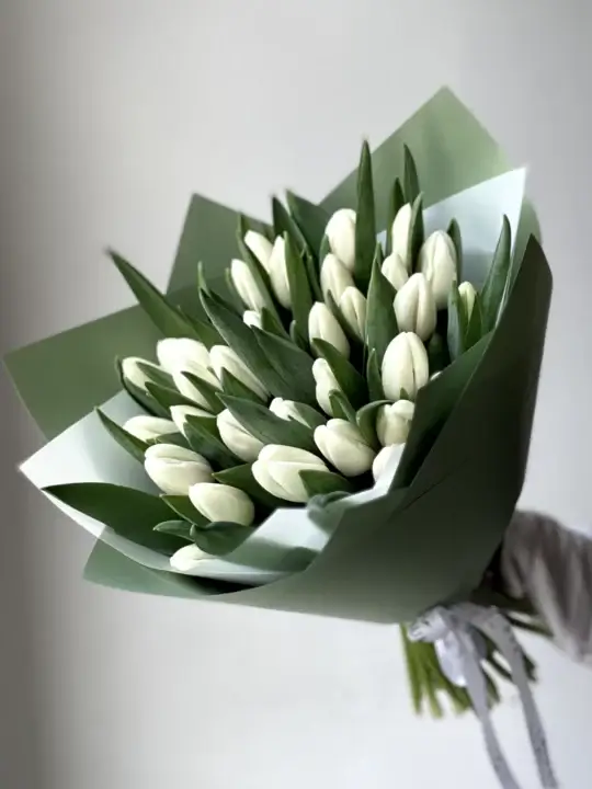 35 белых тюльпанов
