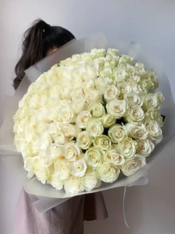 101 белая роза