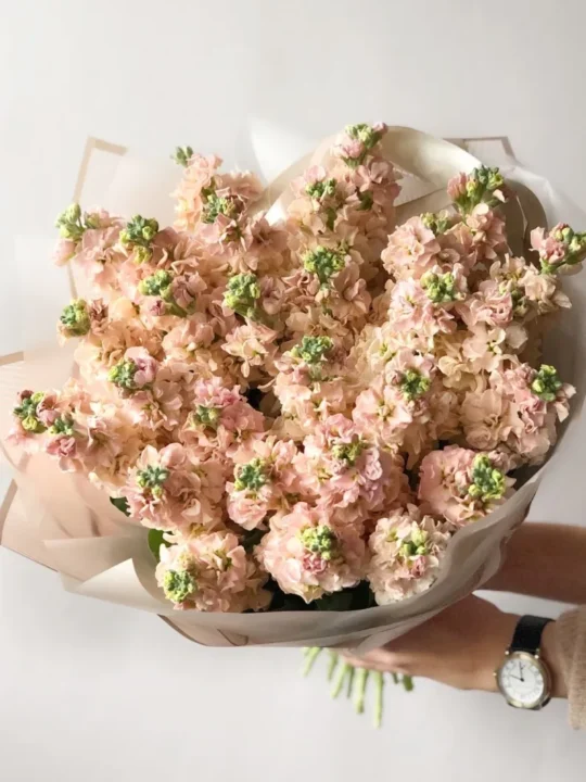 Букет Магия Вдохновения