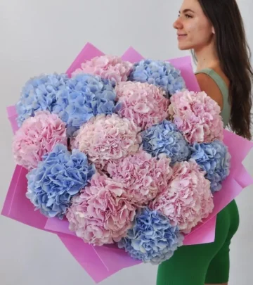 Bouquet of 15 hydrangeas