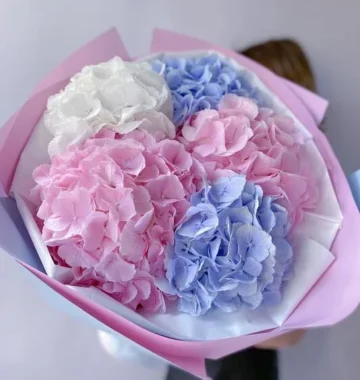 Bouquet of 5 mix hydrangeas