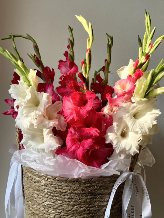 Композиция из 13 гладиолусов