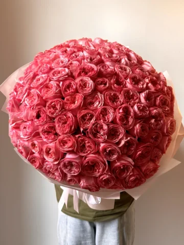 101 Pink Expression roses