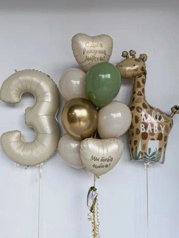 Balloon Set #75