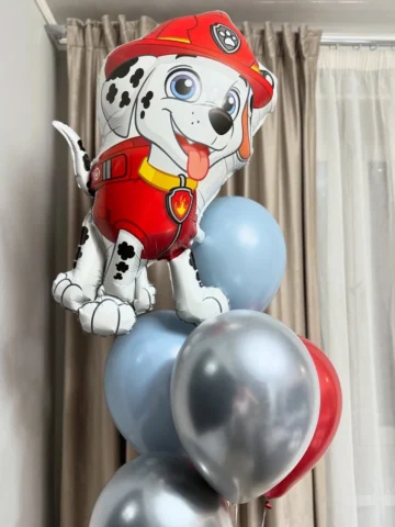 Balloon Set #153