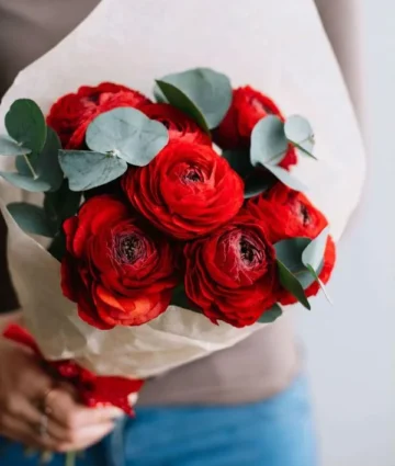 Red ranunculus