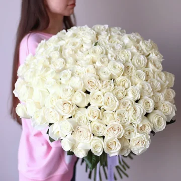 101 delicate white roses