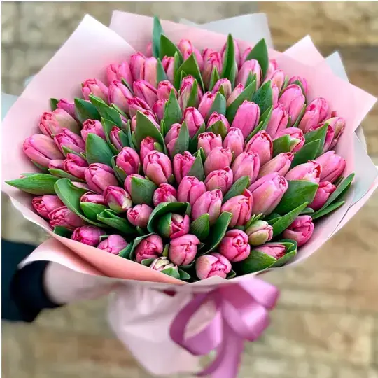 101 розовый тюльпан