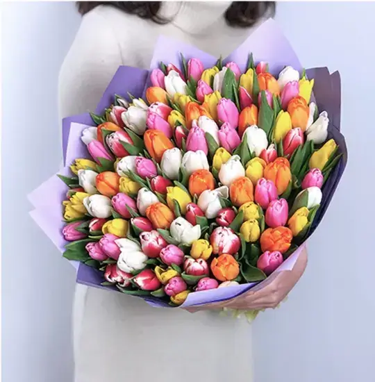 101 тюльпан микс