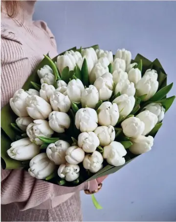 51 white tulips